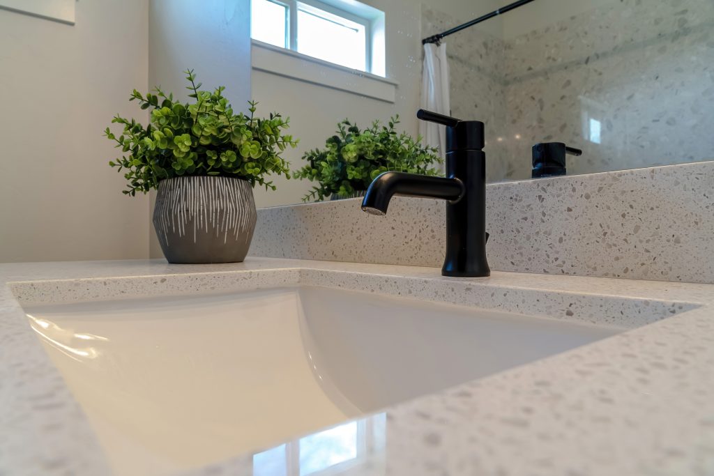 Black faucet over undermount bathroom sink with potted plant on the countertop.